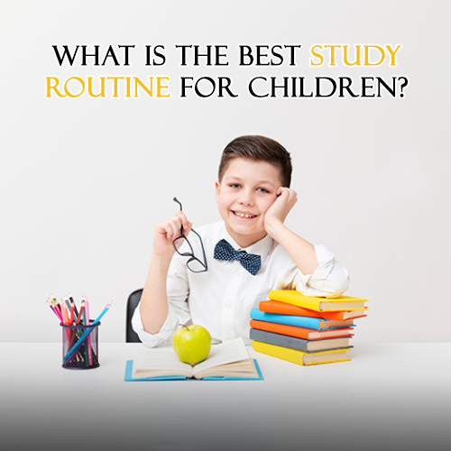 Best Study Routine for Children