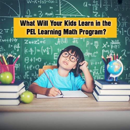 What Will Your Kids Learn in the PEL Learning Math Program